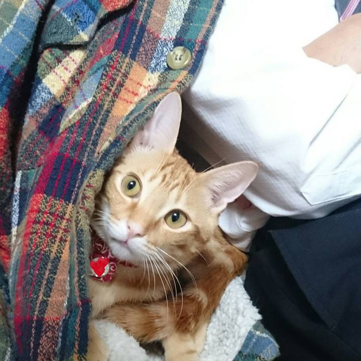 Db762fb2 cf75 4dd4 817b c3179d685e14