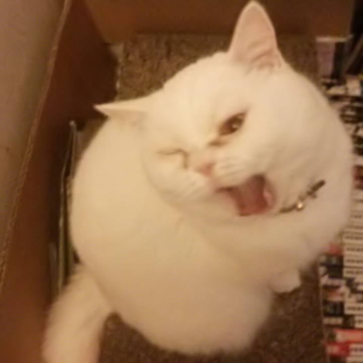 Db778bb4 5200 4a09 a37c 1b17345460fd