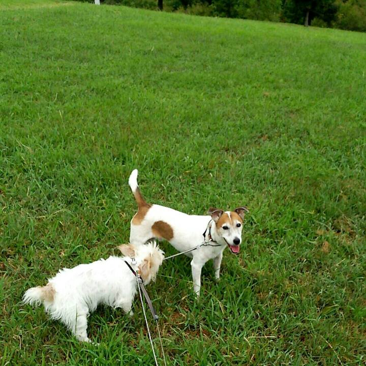 Db77b5d7 f6fb 4558 829f 42cd8755fa5f