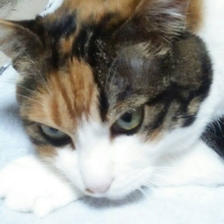 Db77cdf2 7930 44c2 9d0e b67cb0cf9eaf