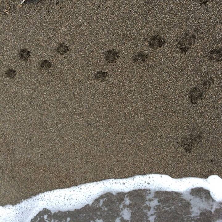 Db77e1ff 86de 434a 9ed5 de5f0b4be288