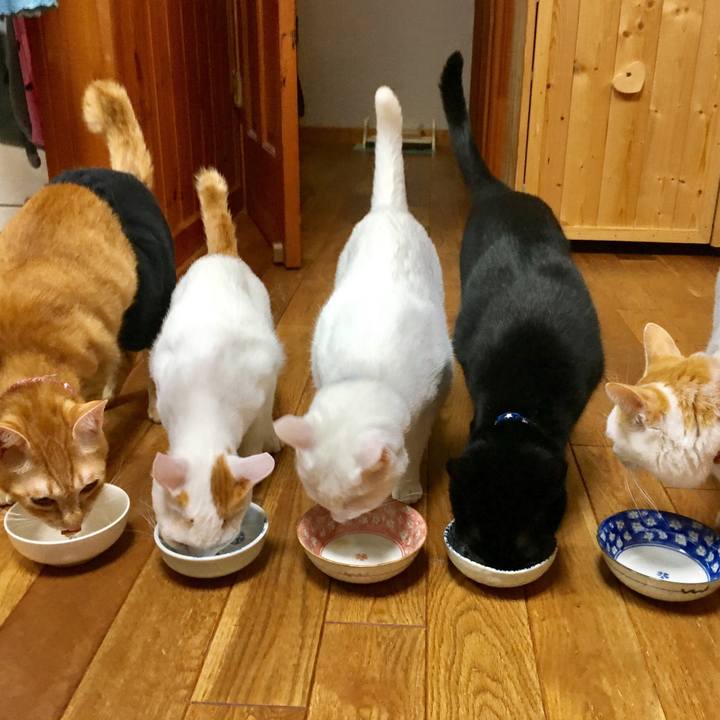 Db784e8e 959b 4ed3 bb61 5c1952f202de