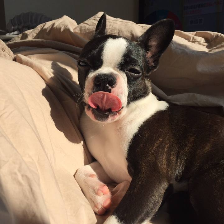 Db78687a 48a7 4e7a b951 6e0ad81a4be1