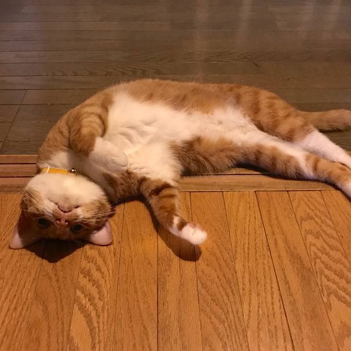 Db793d50 3f4f 4ccd 9456 cfff6e4734e5