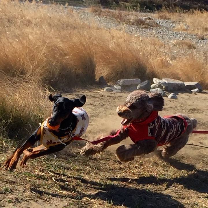 Db7992d5 c191 485f b8cf 46304b2d4657