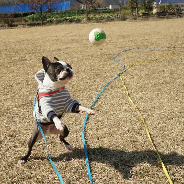 Db79e325 7793 4608 a08f 6faf479f9927