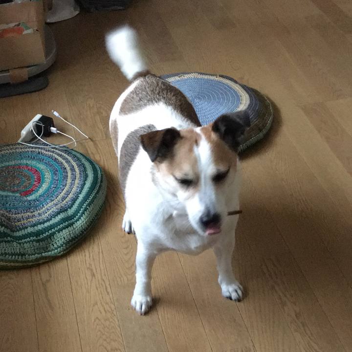 Db7a06d7 7b9f 4b60 9066 93cb4a4cc397