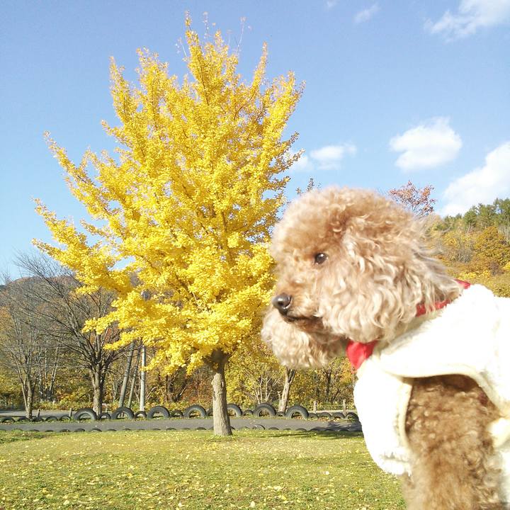 Db7a5ca8 5548 46ac a545 0bef1f146e19