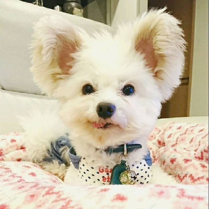 Db7a7f74 9d43 4223 860e c0df10cd2eb6