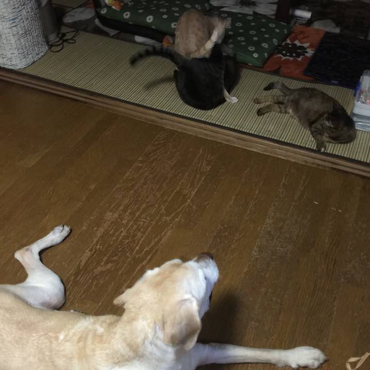 Db7a8230 9769 4cac 9af2 18a9749af462