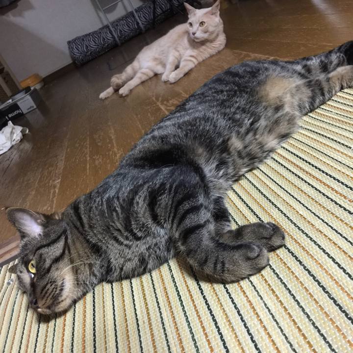 Db7acc00 b238 4392 bfda 4db58b3b88cb