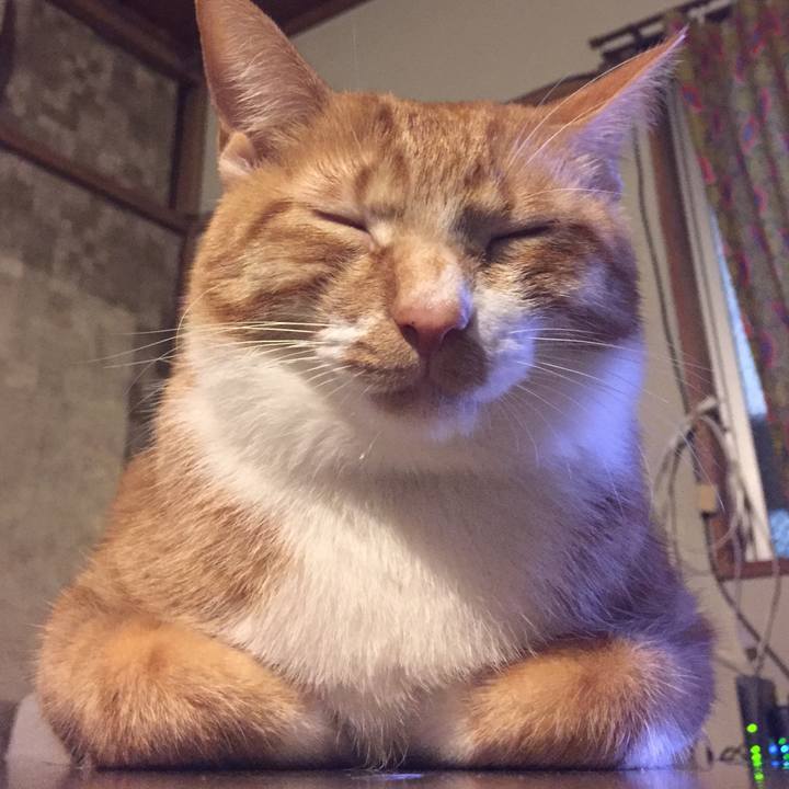 Db7cd9a9 319c 4136 a6f0 b8845558e937