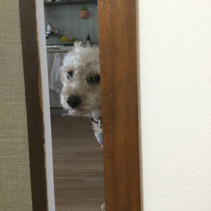 Db7d126e 0e90 4a7c 9211 52e58aa35a5c