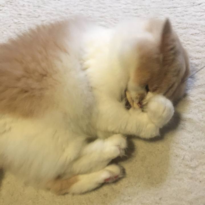 Db7d90f3 ddb5 4f3e be46 5851ab6c3deb