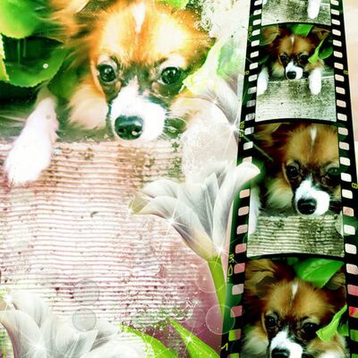 Db7daf66 0617 4d0b b9ed f687c2865903