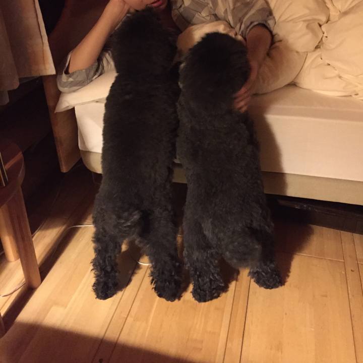 Db7e344e ff0e 4559 8927 5cfbac800c76