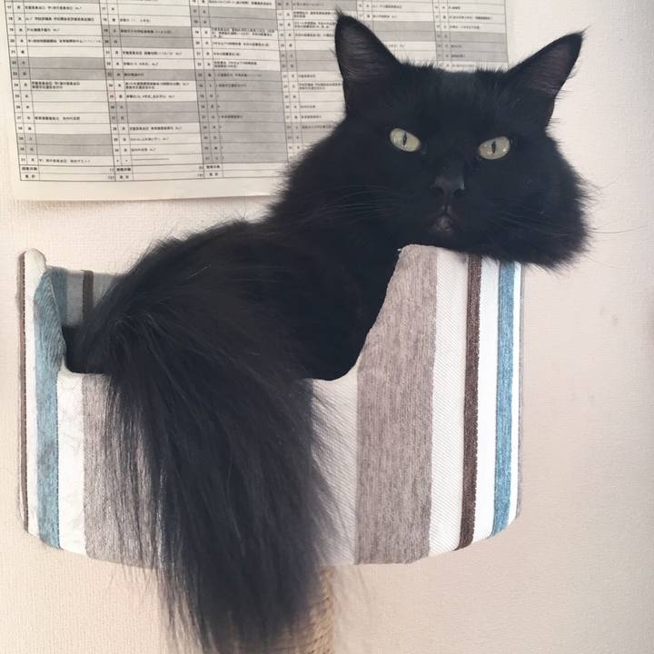 Db7e3c44 f69d 4a9d ac9e 97e5ec87029e