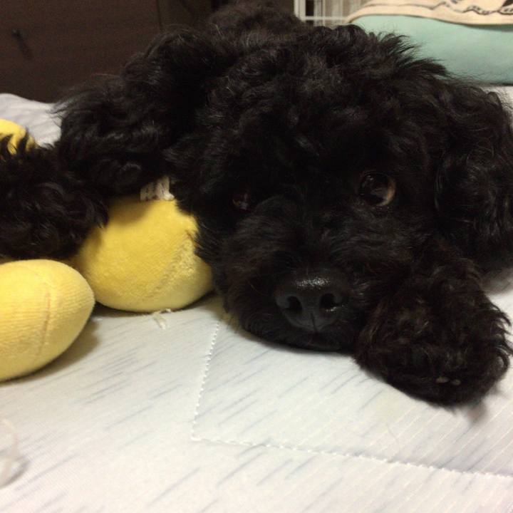 Db7e3e19 1cac 44fd 8160 ef2966a10264