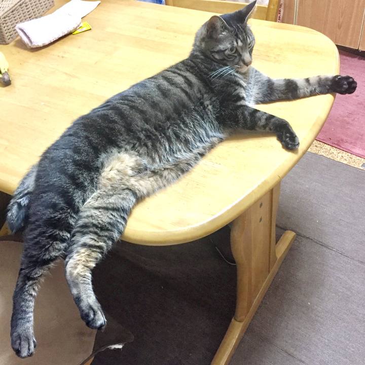 Db7eb991 2e81 4c01 8538 96080554d9e7