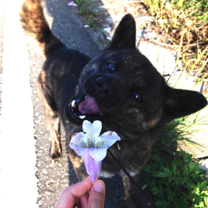 Db7ec2fb 4d09 4a77 b793 ae884a2af684