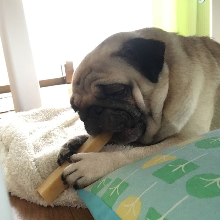 Db7f0983 e669 4ea9 aa1d a961e0d1e522