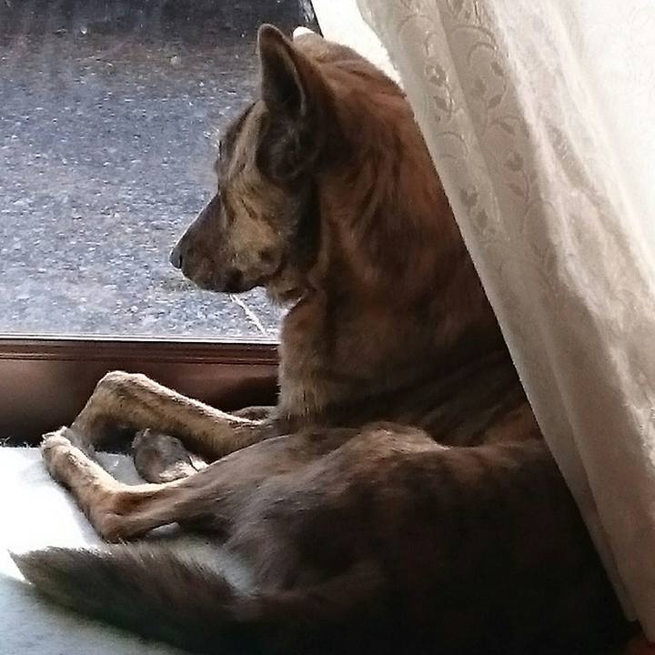 Db7f1a32 110e 4a2d 8017 4e8c004a50a9