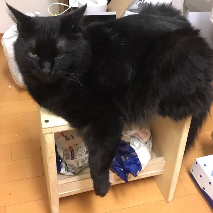 Db7f3a0d 65d1 49e7 9082 c4a6390b1b12