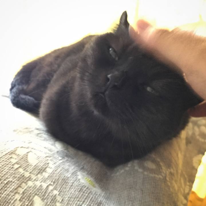 Db7fb2cd e3c5 402b 94dd ab67f4ad2873