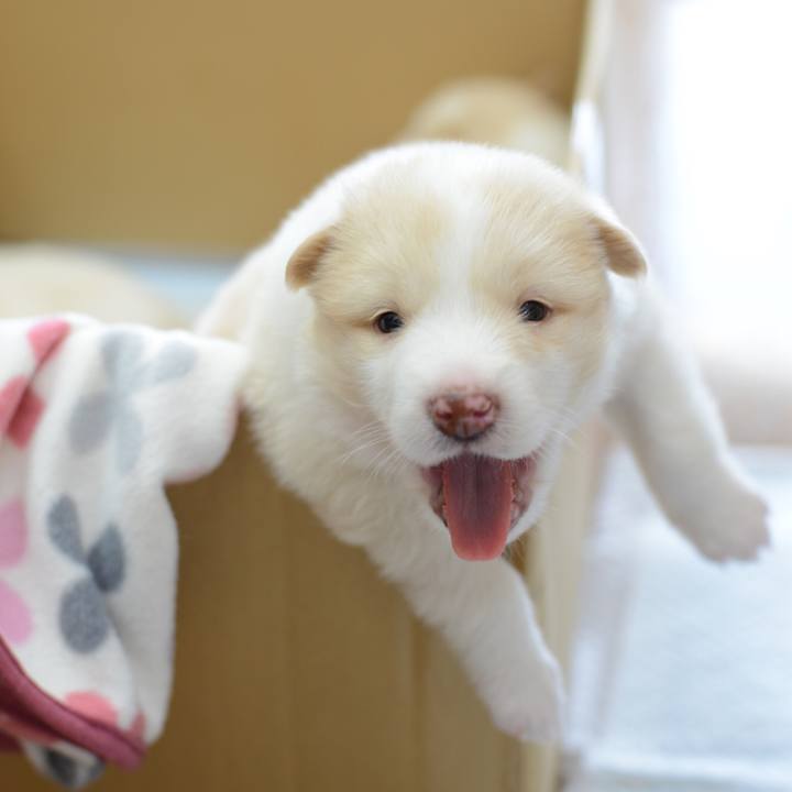 Db80d097 68ba 4b5e 81ac 09dd02638060