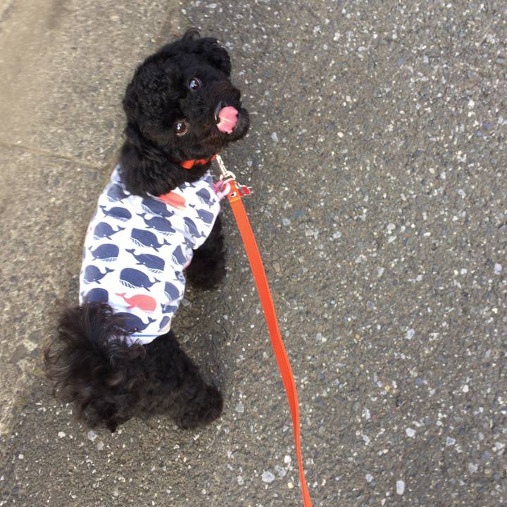 Db818dda 5425 453d bb81 e01c0396efea