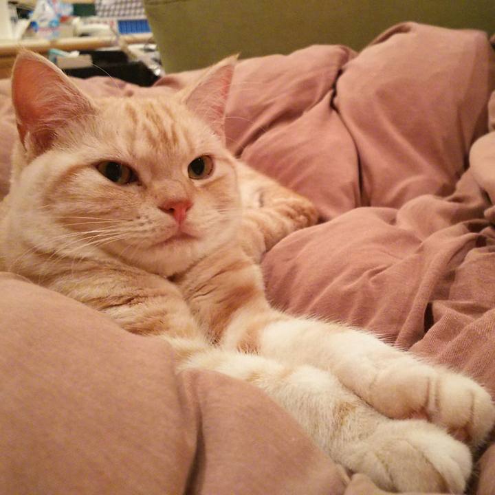 Db81c094 5a25 49d9 8df5 261ec63b4811