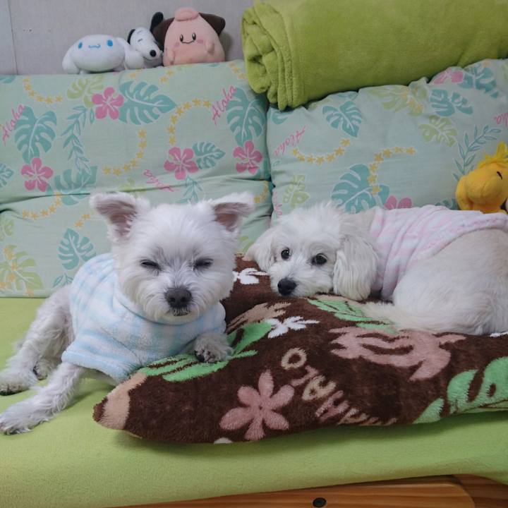 Db82d190 7162 4657 b3fe 21040afe0a13