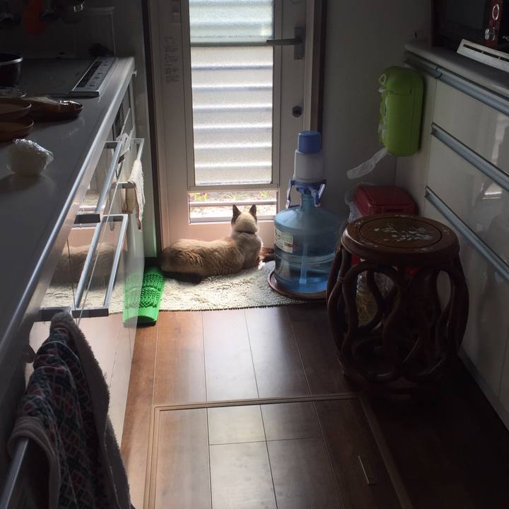 Db83209c c3f1 492c 921d c1eb736ce1fb