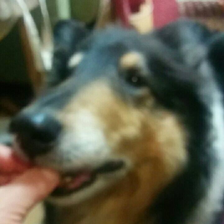 Db838bb9 c2e8 457c 8d7f b0b0db7c183b