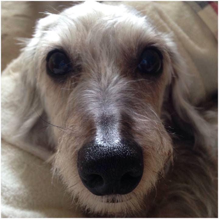 Db842b81 db2d 4bd0 b694 4a5551aef378