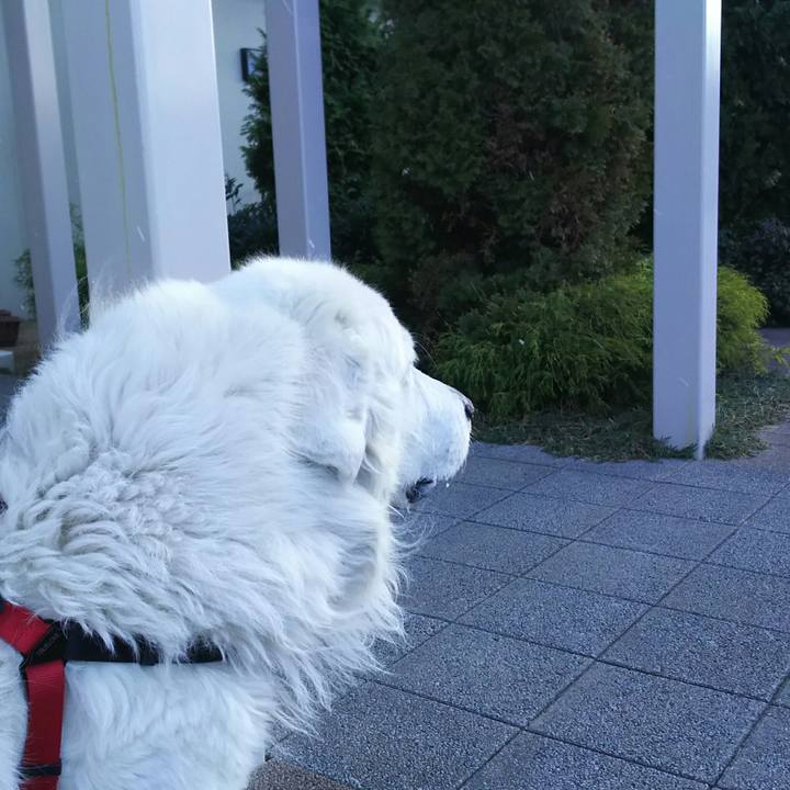 Db846adf 9ee4 4a49 8b2f b3151c87f7c0