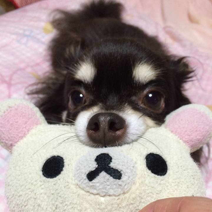 Db84b0cd 8ee7 4e44 bcf2 57aff8bc7bf2