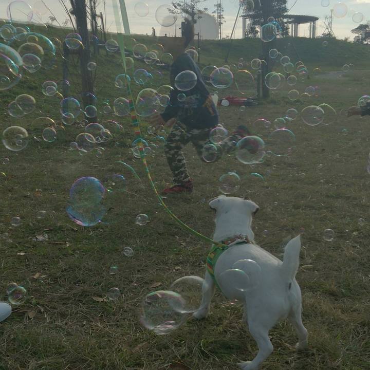 Db85078a 5361 40ff b95d ceba4cc7bd40