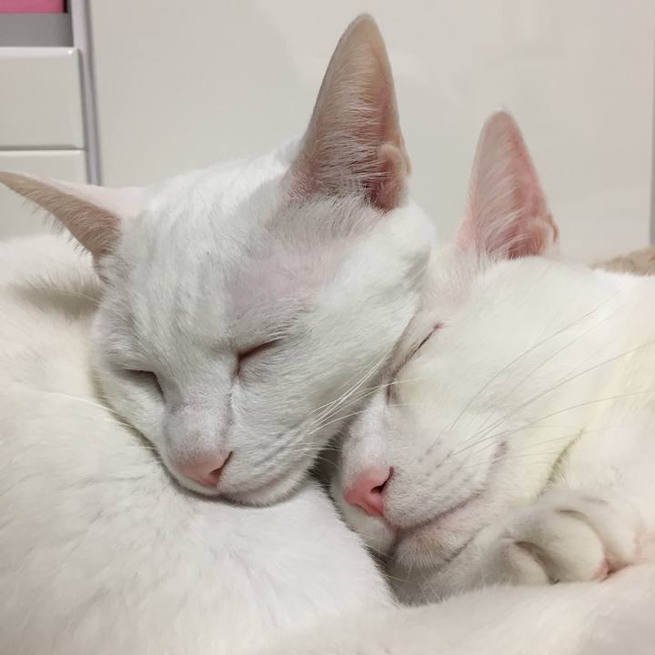 Db85b4fa b7ef 4f67 aaeb bde7230f39f3