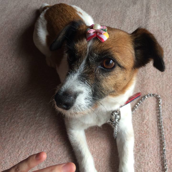 Db867bde 866a 4dff 879f 53e19a04af15