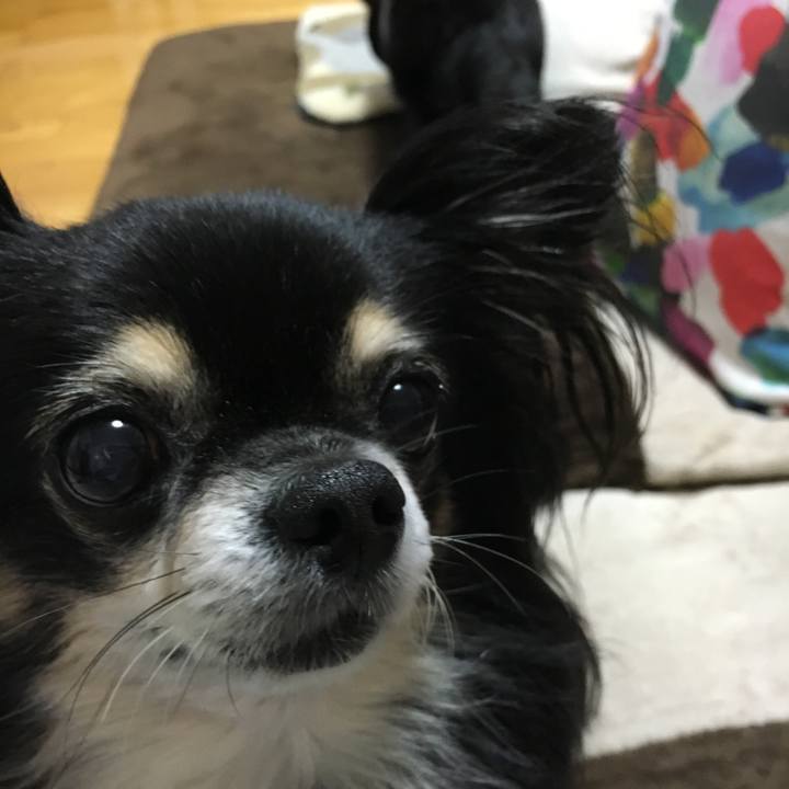 Db86e704 1eab 424e 9ee9 989da98c4424