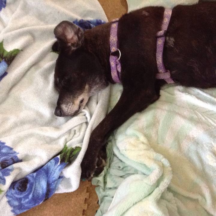 Db873a55 2731 4976 8c94 265be4633d9a