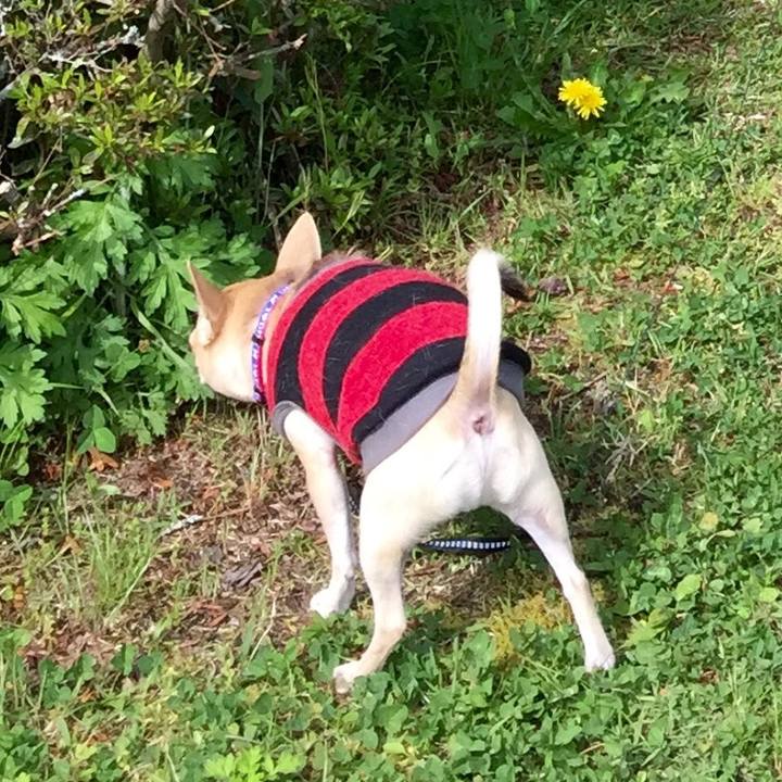 Db87651a f8d5 4ea9 be77 c3dcef3a302c