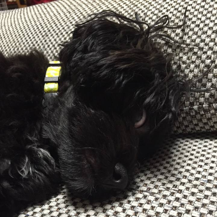 Db87a93b 0f7f 4d3b a9f5 d7546eb358e3