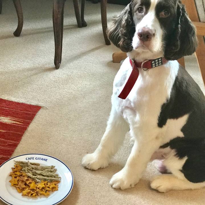 Db87b011 3eb8 4767 b854 3e5fc8a33efa