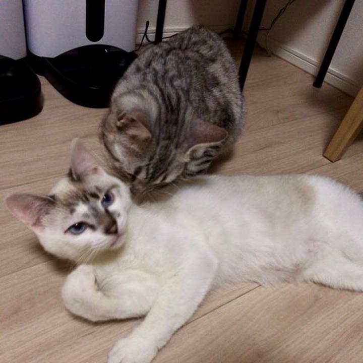 Db87ed28 999b 4695 b6f6 af8e3b600884