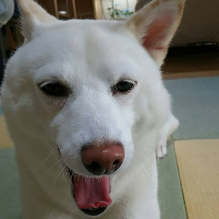 Db87f466 ff8c 4f91 89f1 8e7825f9f0d4