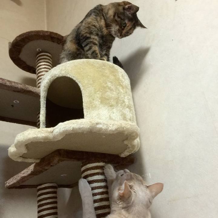 Db880d13 7e0e 4133 959c f282d896a6d1