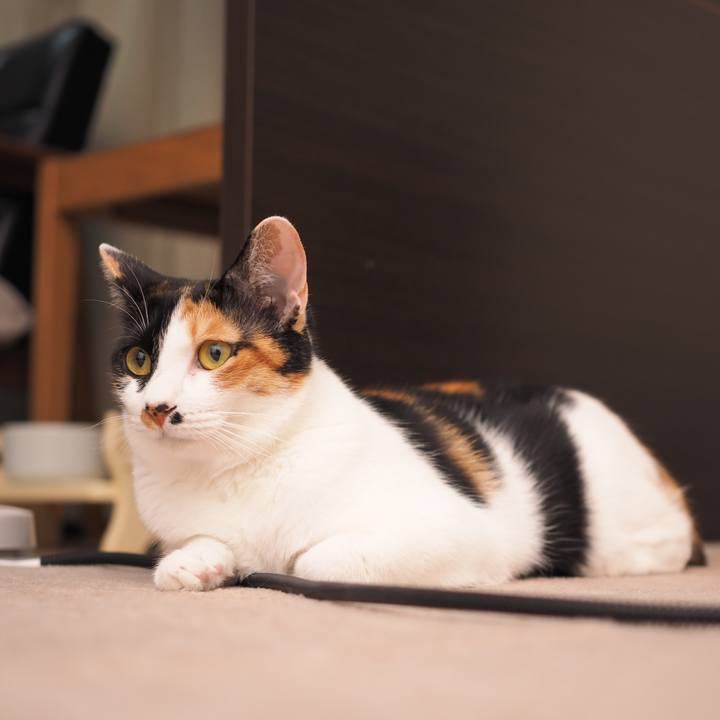 Db88d789 e6de 4355 ad3d e55221e41439