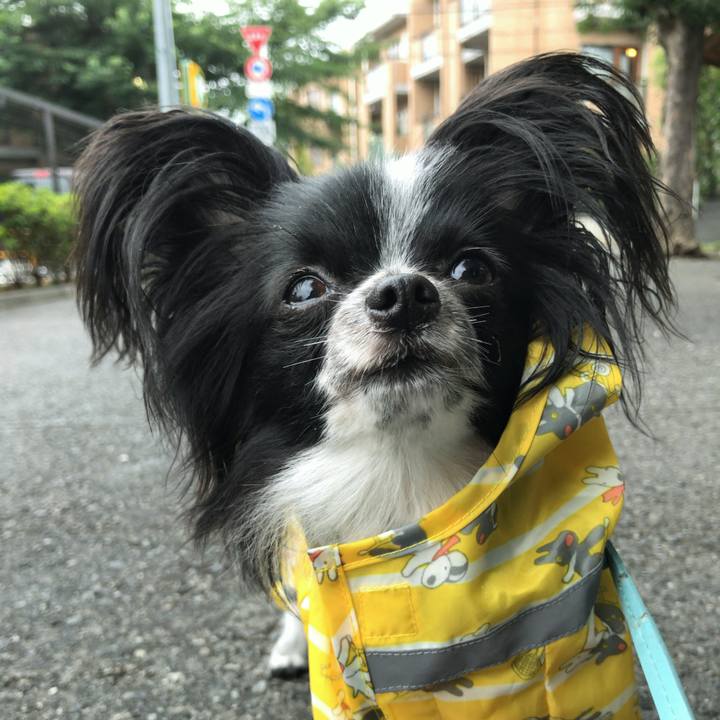 Db88ee3c 3597 4bc4 b4bf b4fc32767fe4